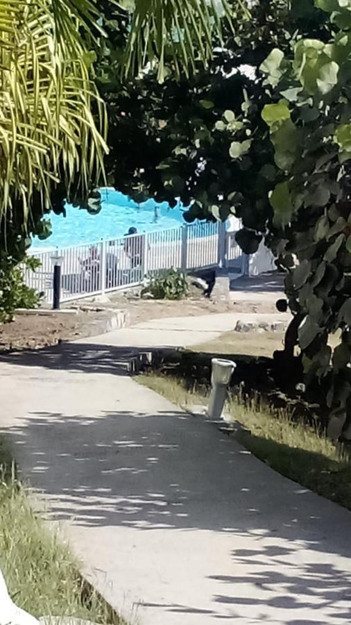 Cul de Sac Charm And Sea, Large Studio Designed By Architect מראה חיצוני תמונה